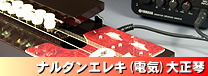 ナルダンエレキ大正琴
